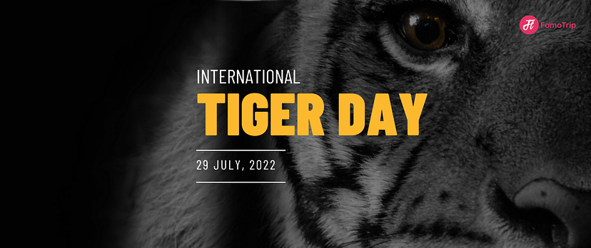 International Tiger Day: Celebrating and Protecting the Majestic Big Cat