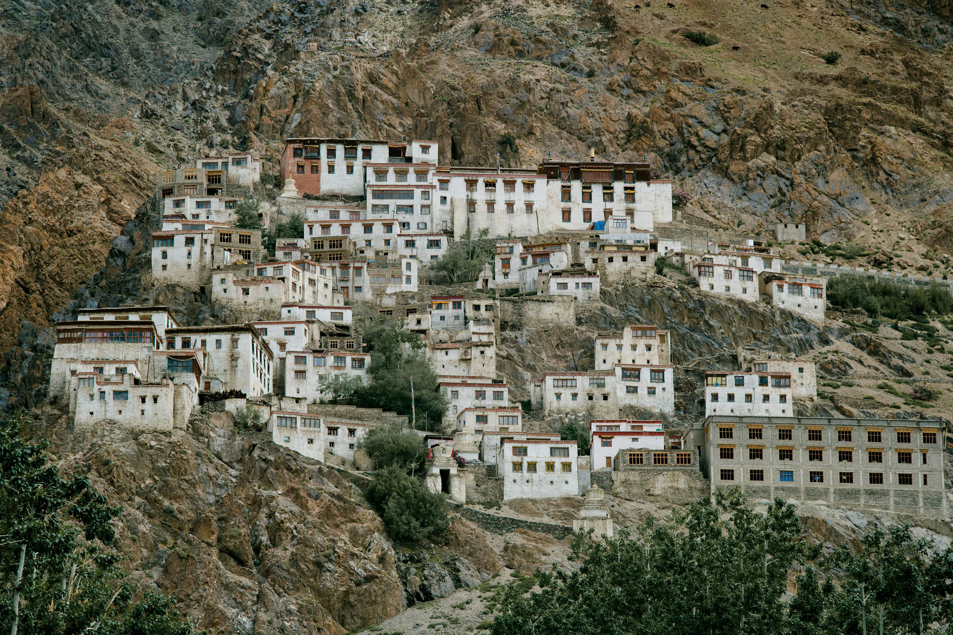 Ladakh: The Land of High Passes